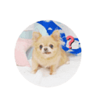 おキャンスタンプ2（個別スタンプ：8）
