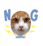 すーーーさん（個別スタンプ：3）