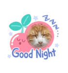 すーーーさん（個別スタンプ：4）