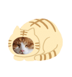 すーーーさん（個別スタンプ：7）