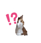 すーーーさん（個別スタンプ：8）