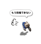 ヨークシャーテリアのアッくん（個別スタンプ：29）