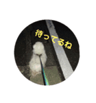 ぺきにーずのすたんぷ（個別スタンプ：9）