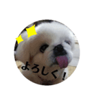 ぺきにーずのすたんぷ（個別スタンプ：10）
