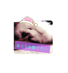 ぺきにーずのすたんぷ（個別スタンプ：11）