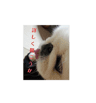 ぺきにーずのすたんぷ（個別スタンプ：13）