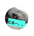 ぺきにーずのすたんぷ（個別スタンプ：16）