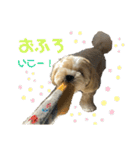 使える！コロコロコロッケ（個別スタンプ：5）