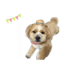 使える！コロコロコロッケ（個別スタンプ：7）