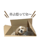 使える！コロコロコロッケ（個別スタンプ：8）