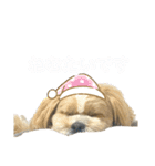 使える！コロコロコロッケ（個別スタンプ：20）