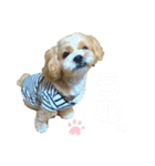使える！コロコロコロッケ（個別スタンプ：30）