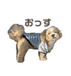 使える！コロコロコロッケ（個別スタンプ：32）