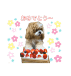 使える！コロコロコロッケ（個別スタンプ：35）