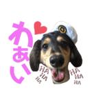 銀二のすたんぷ（個別スタンプ：5）