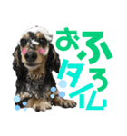 銀二のすたんぷ（個別スタンプ：6）