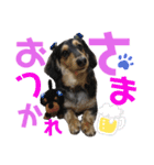 銀二のすたんぷ（個別スタンプ：8）