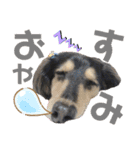 銀二のすたんぷ（個別スタンプ：10）