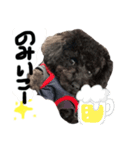 ポン1（個別スタンプ：6）