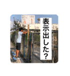 チームN スタンプ集（個別スタンプ：23）