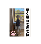 ☺︎ミディアムプードルゆずちゃん☺︎（個別スタンプ：14）