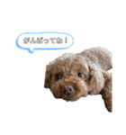 もことのん（個別スタンプ：6）