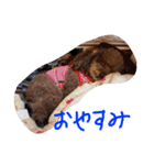 ボビーすたんぷ（個別スタンプ：2）