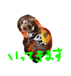 ボビーすたんぷ（個別スタンプ：3）