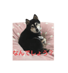 うにちゃん vol.1（個別スタンプ：2）