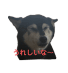 うにちゃん vol.1（個別スタンプ：7）