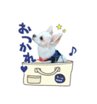 翔 ひま 中トロ スタンプ（個別スタンプ：5）