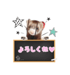翔 ひま 中トロ スタンプ（個別スタンプ：7）