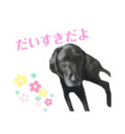 黒ラブソレイユ4（個別スタンプ：9）