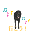 黒ラブソレイユ4（個別スタンプ：11）