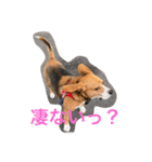 ライリーといっしょ♡②（個別スタンプ：3）