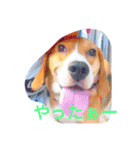 ライリーといっしょ♡②（個別スタンプ：6）