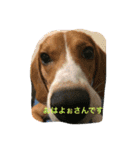 ライリーといっしょ♡②（個別スタンプ：7）