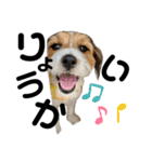 わたし、リリィ！（個別スタンプ：1）