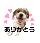 わたし、リリィ！（個別スタンプ：6）
