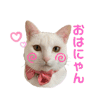 エルサ姫stamp（個別スタンプ：1）