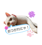 エルサ姫stamp（個別スタンプ：5）