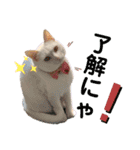 エルサ姫stamp（個別スタンプ：7）
