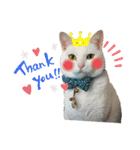 エルサ姫stamp（個別スタンプ：15）