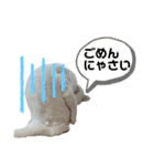 エルサ姫stamp（個別スタンプ：19）