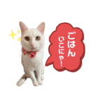 エルサ姫stamp（個別スタンプ：21）