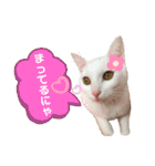 エルサ姫stamp（個別スタンプ：24）
