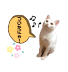 エルサ姫stamp（個別スタンプ：25）