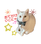 エルサ姫stamp（個別スタンプ：26）