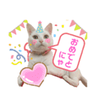 エルサ姫stamp（個別スタンプ：30）
