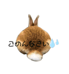 うちのほっぺさん（個別スタンプ：4）
